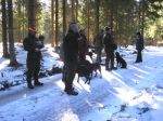 Viltspårsträning